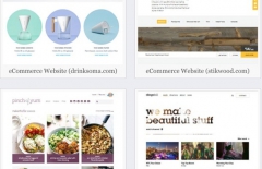 北京星誠(chéng)視野網(wǎng)絡(luò)科技有限公司、北京網(wǎng)站設(shè)計(jì)