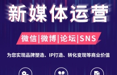 行業(yè)網(wǎng)站建設(shè)、新媒體運(yùn)營(yíng)、短視頻剪輯