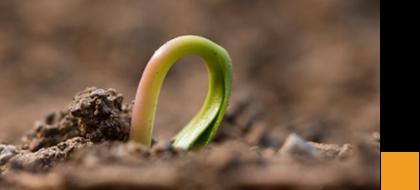 微信小程序、包裝制作小程序