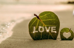 北京做網(wǎng)站公司、高端網(wǎng)站建設(shè)、高端品牌網(wǎng)站建設(shè)、北京網(wǎng)絡(luò)公司