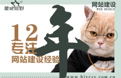 公司的網(wǎng)站制作、響應(yīng)式網(wǎng)站制作、專業(yè)的網(wǎng)站制作公司、北京網(wǎng)站制作