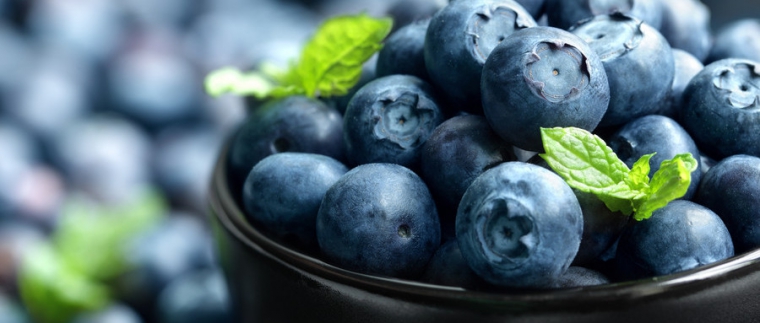 北京網(wǎng)站建設(shè)、北京網(wǎng)站建設(shè)公司、北京網(wǎng)站制作公司、北京專業(yè)網(wǎng)站建設(shè)公司、星誠視野、北京專業(yè)網(wǎng)站建設(shè)、北京網(wǎng)站建設(shè)公司、北京星誠視野網(wǎng)絡(luò)科技有限公司