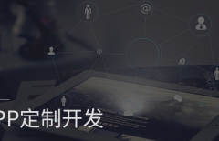 app開發(fā)、原生APP開發(fā)、app定制開發(fā)、APP開發(fā)公司 