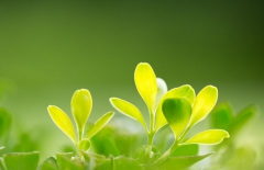 北京網(wǎng)站建設(shè)、北京網(wǎng)站建設(shè)公司、北京網(wǎng)站制作公司、北京網(wǎng)站制作、北京做網(wǎng)站