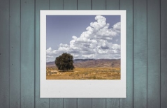 北京做網(wǎng)站、高端品牌網(wǎng)站建設(shè)、北京網(wǎng)頁(yè)設(shè)計(jì)公司、北京高端網(wǎng)站建設(shè)、教育類(lèi)網(wǎng)站建設(shè)